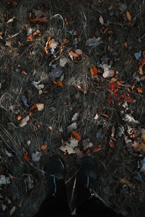 Free Boots standing on a forest floor covered in colorful autumn leaves. Stock Photo