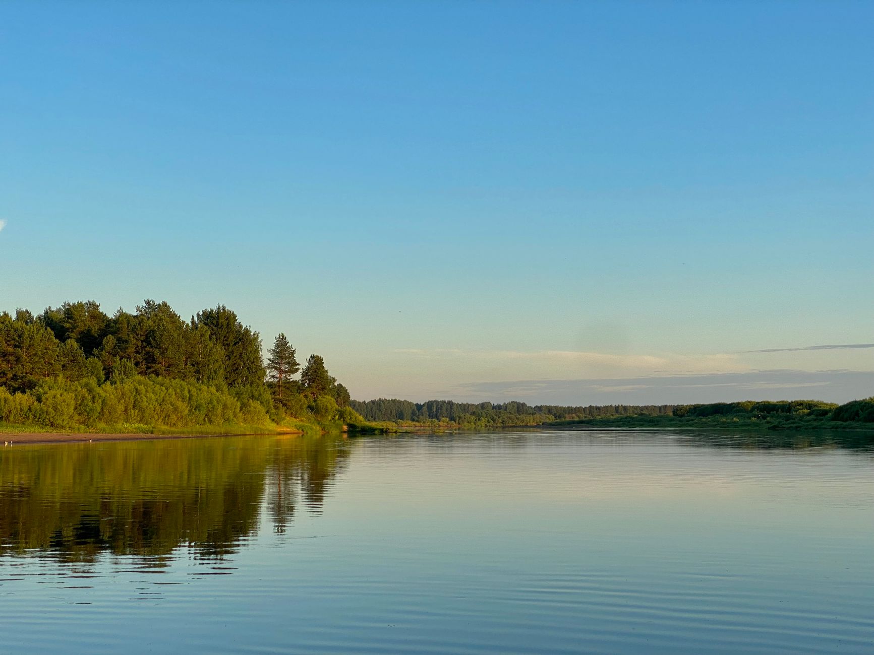 Peaceful river landscape in Syktyvkar, showcasing lush greenery and calm waters.