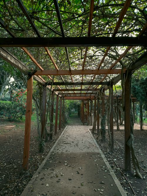 Free A serene wooden arbor in a lush garden pathway, covered with climbing plants and dappled sunlight. Stock Photo