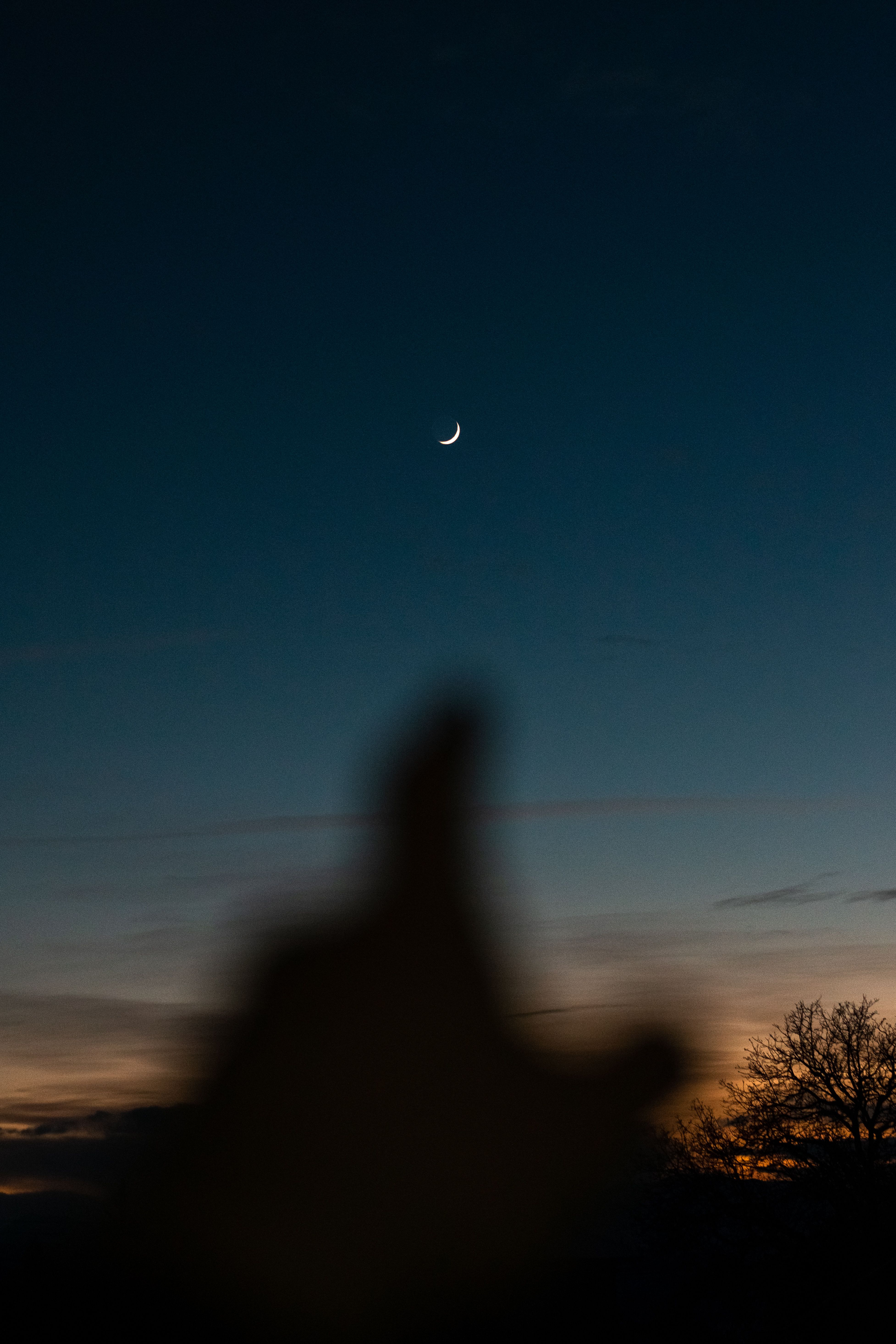 A silhouette foreground beneath a crescent moon against a twilight sky.. silhouette, foreground, beneath