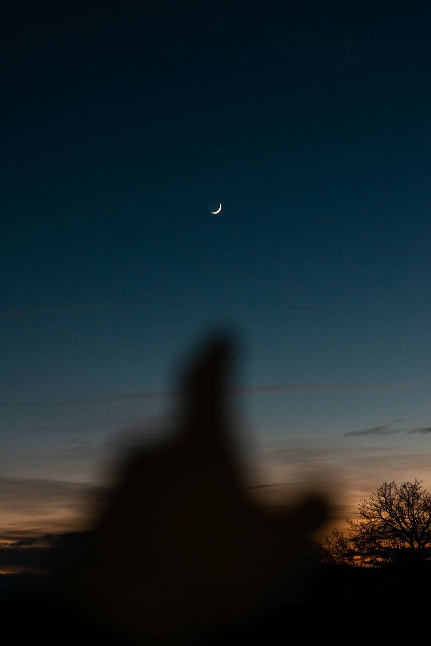 A silhouette foreground beneath a crescent moon against a twilight sky.. silhouette, foreground, beneath