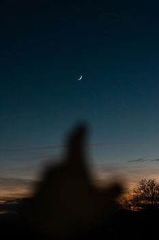 A silhouette foreground beneath a crescent moon against a twilight sky.. silhouette, foreground, beneath
