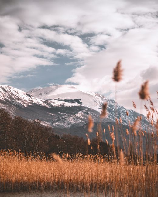 Snow-covered mountains and reeds under a cloudy sky capture the winter beauty of Ohrid, North Macedonia.