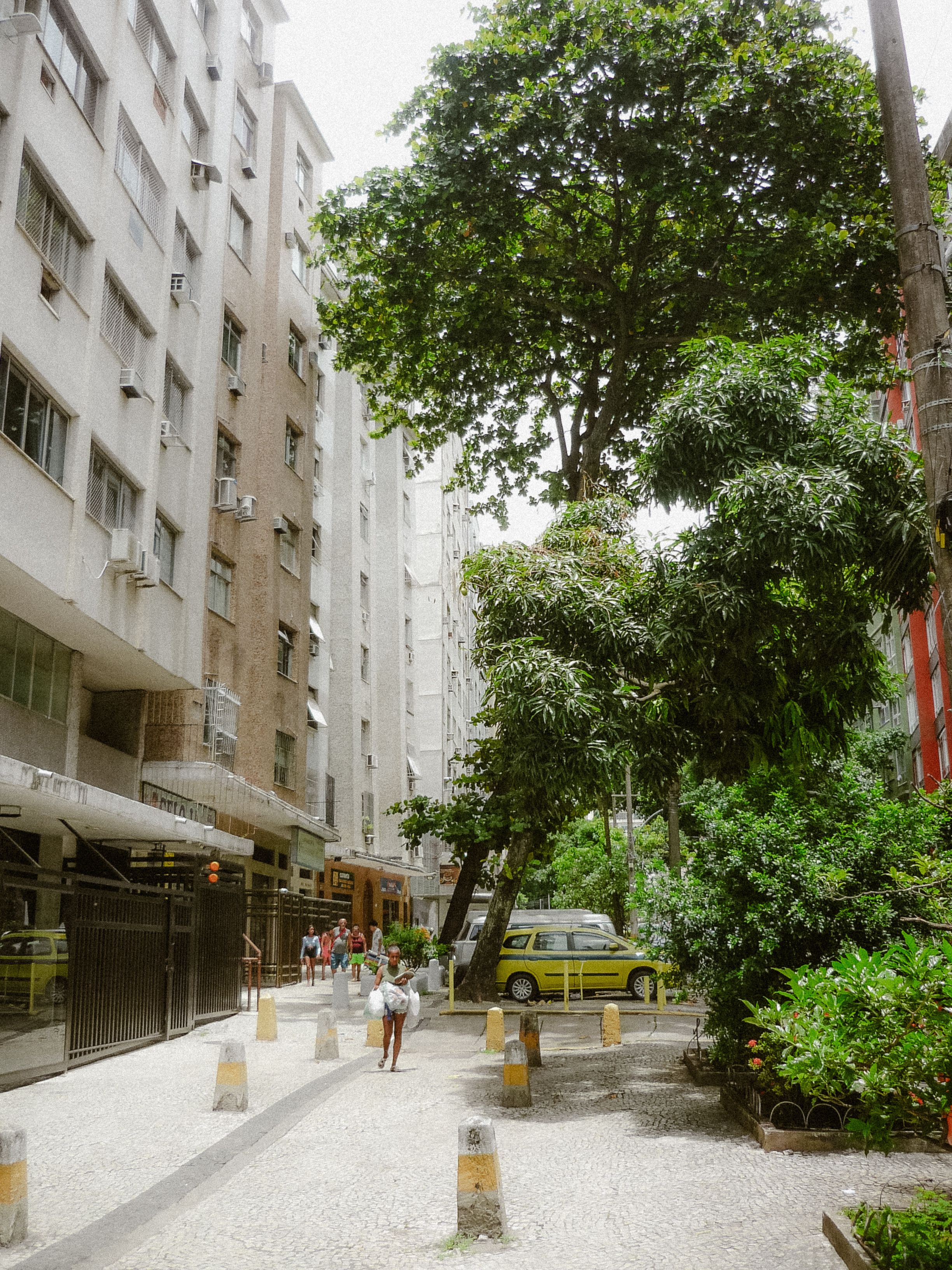 Urban Street Scene with Tall Buildings and Trees · Free Stock Photo