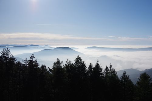 Schwarzwald