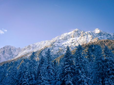 Breathtaking view of a snow-covered mountain range and pine trees in Slovenia captured in winter.