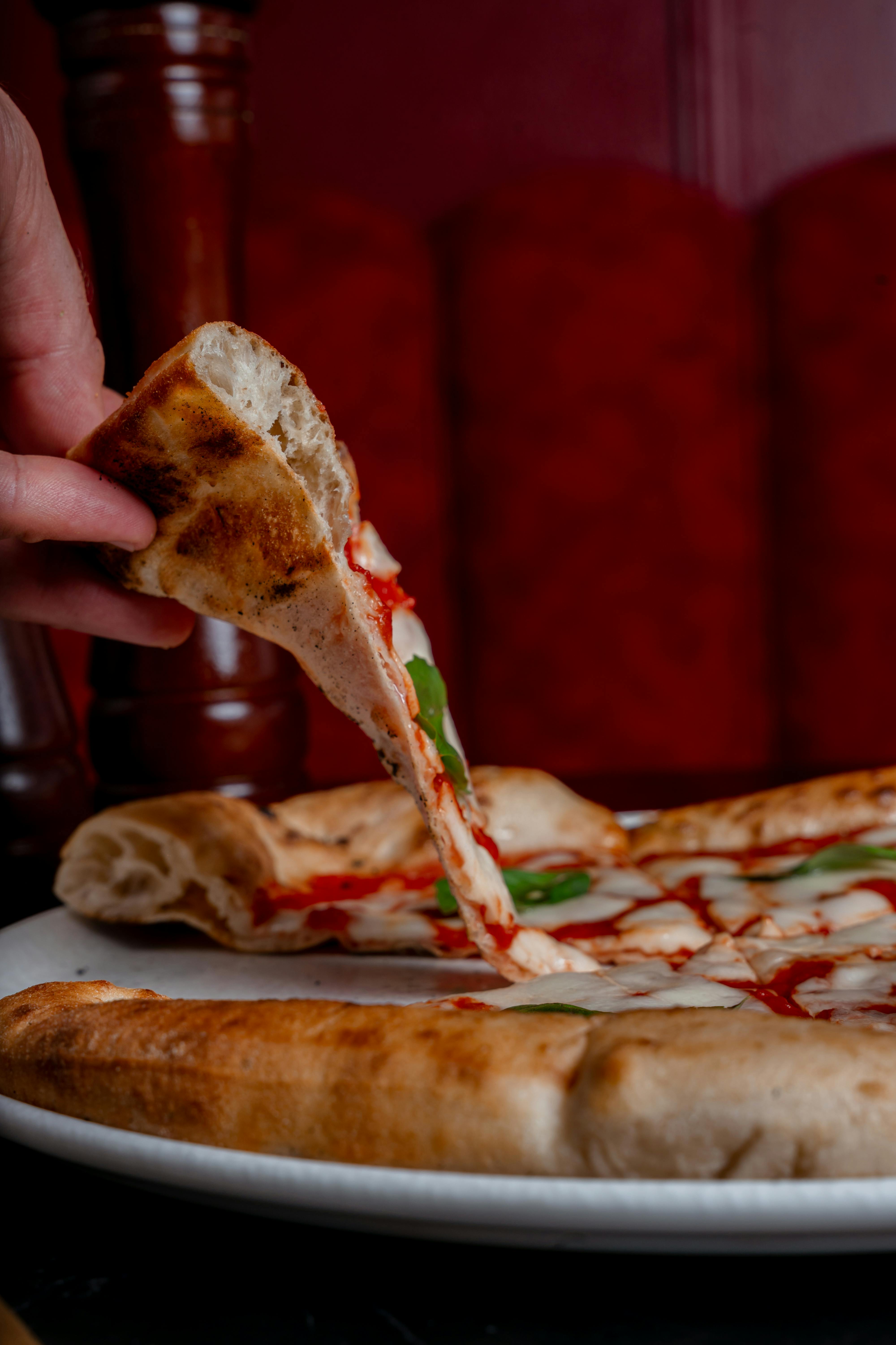 Cheese Pull Everything