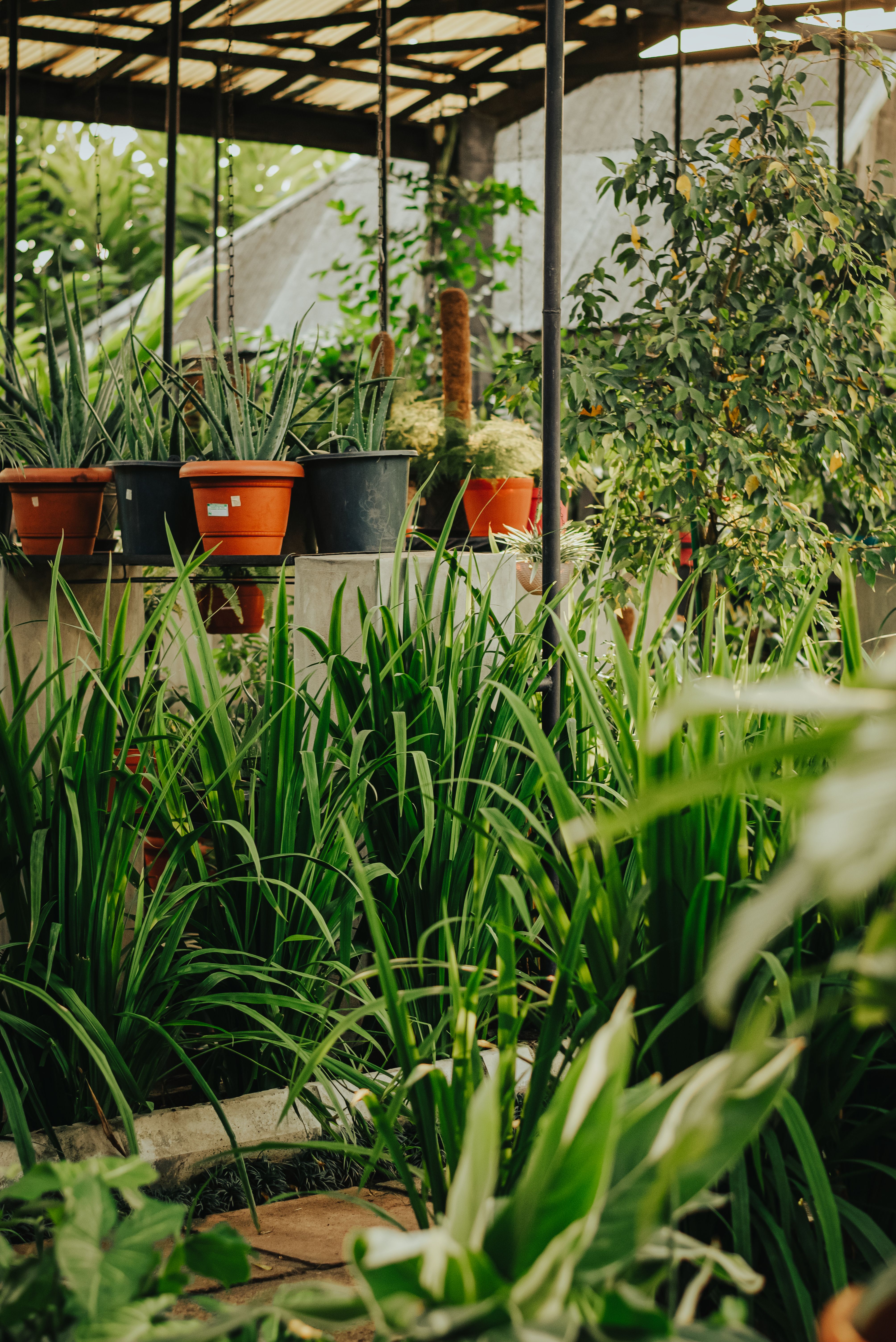 Comment créer un jardin dhiver à moindre coût : idées et conseils 