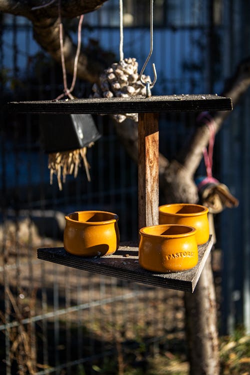 Rustic bird feeder with hanging pinecones