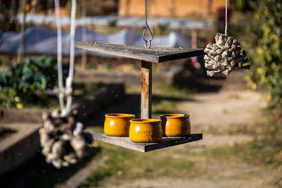 Wooden bird feeder with yellow pots and pinecones in a sunlit garden.