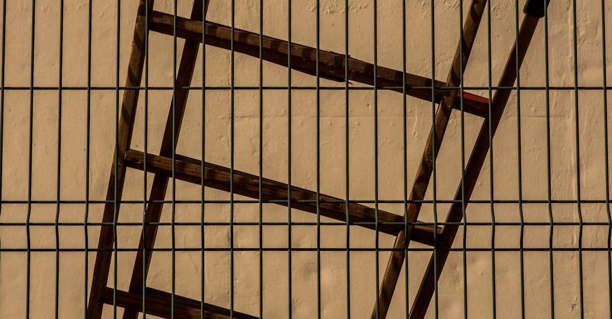 Rusty Ladder Leaning Against Metal Fence Outdoors · Free Stock Photo