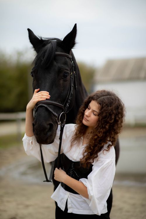 Free A young woman gently caresses a black horse outdoors, showcasing a serene bond. Stock Photo