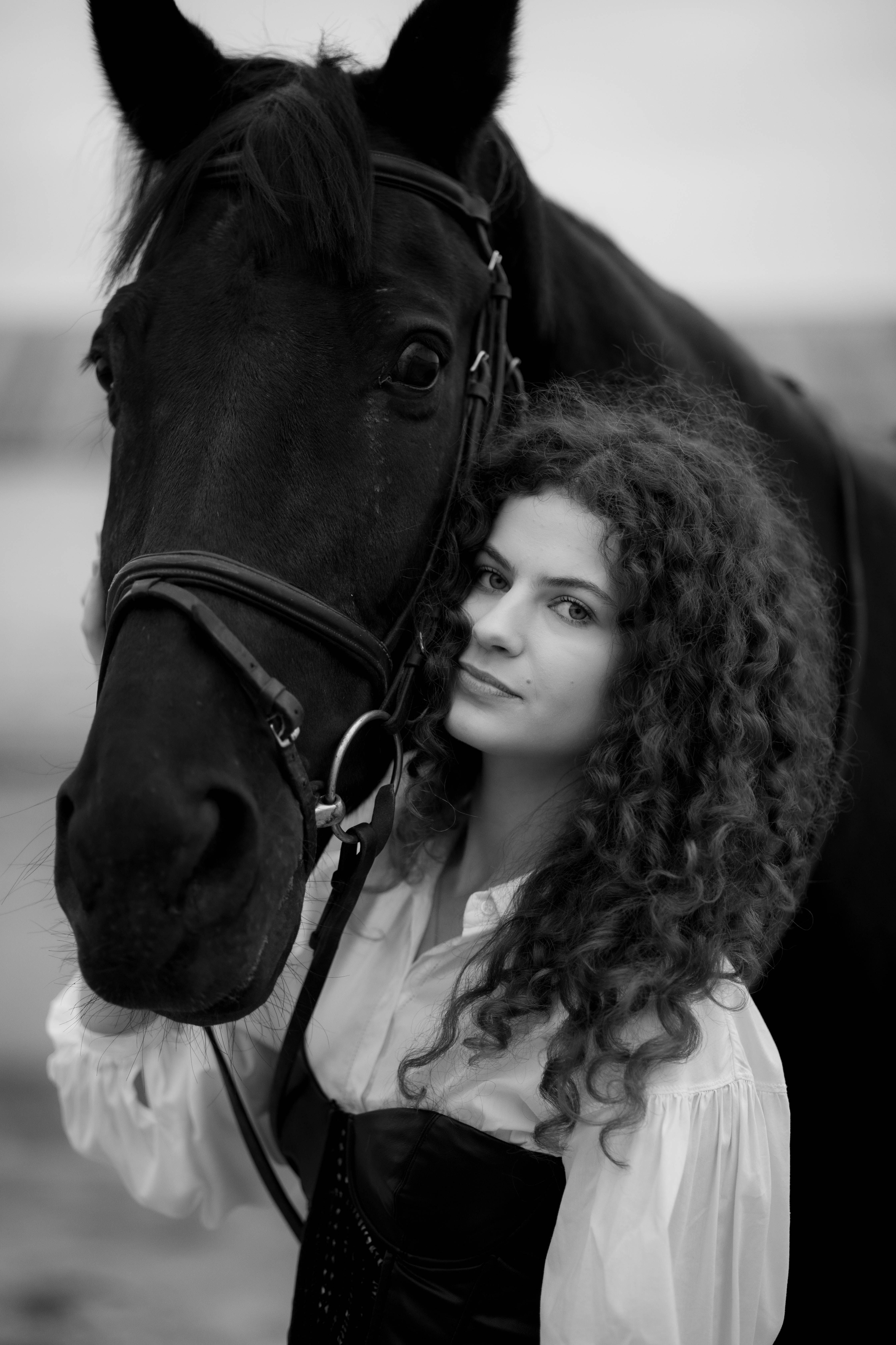 Cascada, black horse with rider