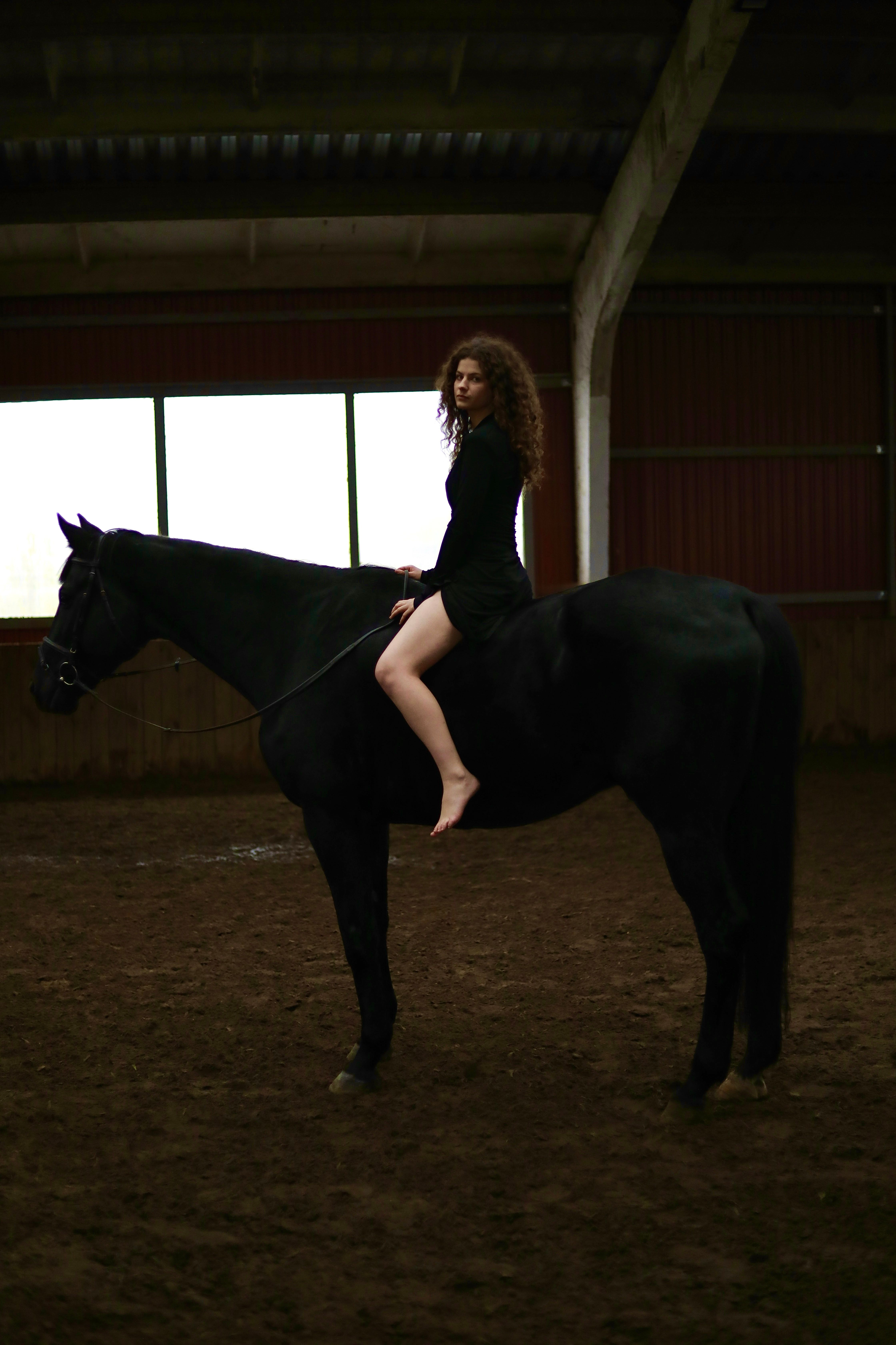 Lyric, rider in stable