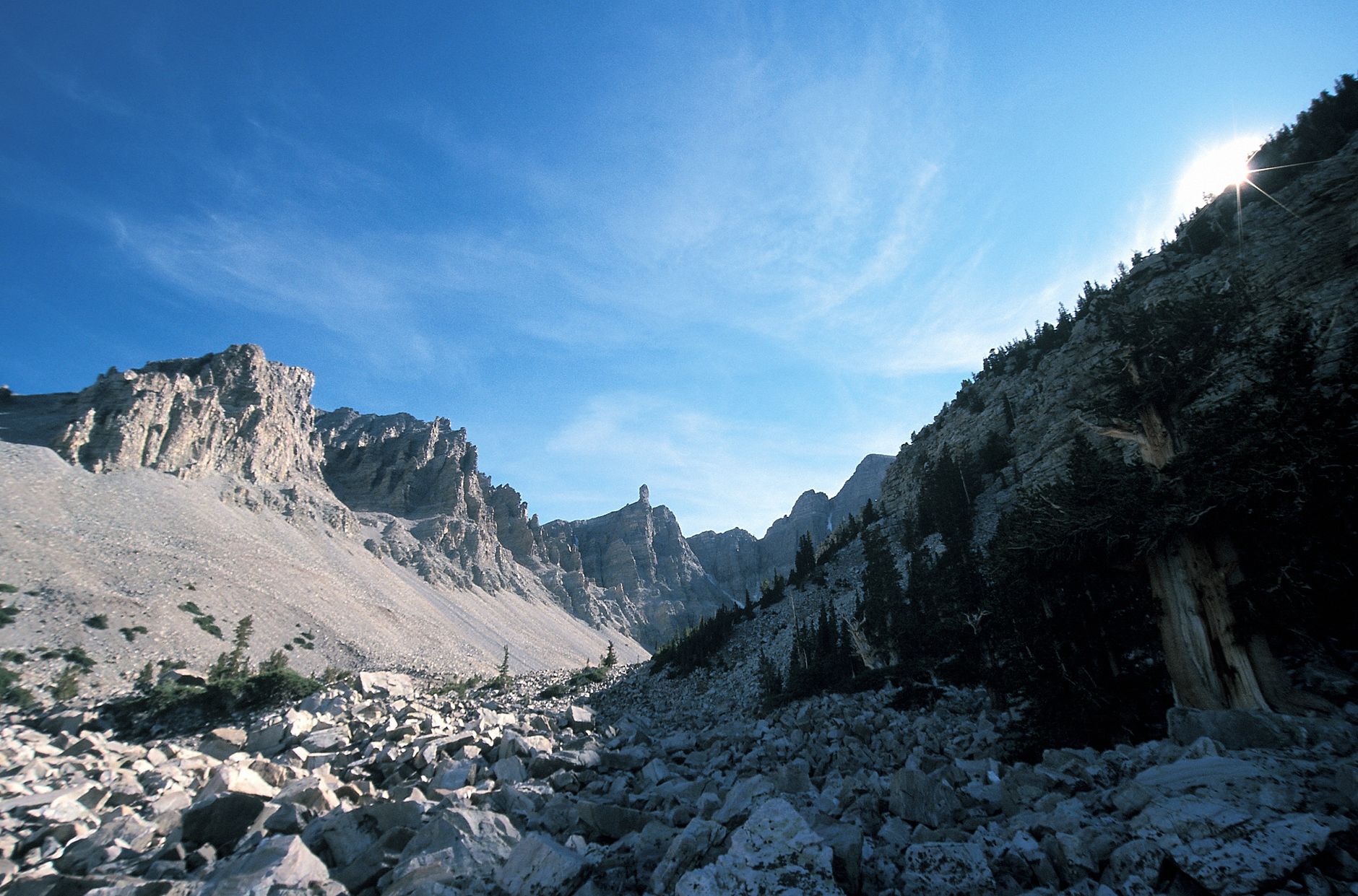 Bristlecone pines and Wheeler Peak at Great Basin National Park