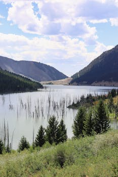 Scenic view of a calm lake surrounded by mountains and pine forest in Montana, USA.