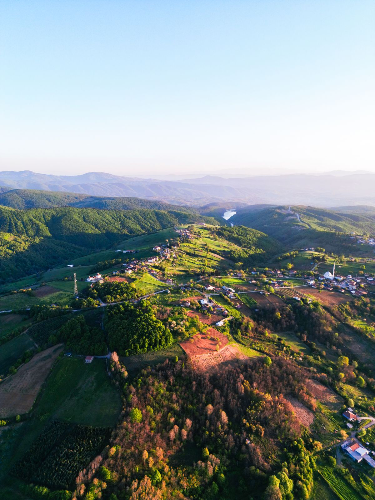Aerial View of Houses and Croplands in the Countryside · Free Stock Photo