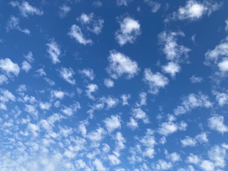 Mild Weather and Scattered Showers Expected Across Ottawa This Week