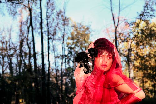 Free Artistic portrait of a woman in a forest with a red veil, capturing a dramatic and vibrant mood. Stock Photo