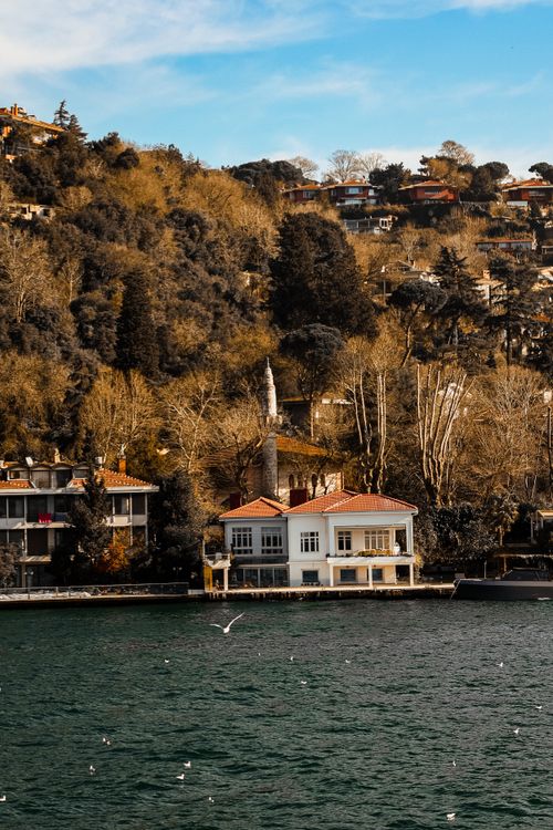 Free Aerial view of the Bosphorus waterfront with quaint homes and lush hillsides. Stock Photo