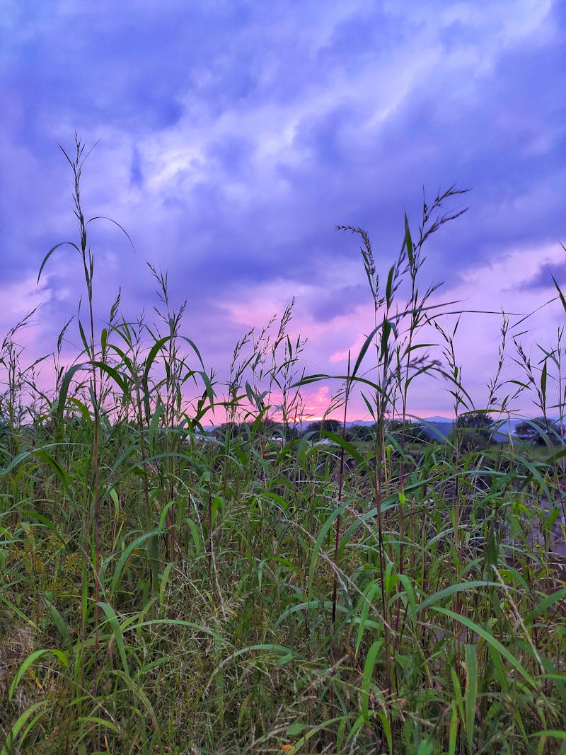 Shipping containers and logistics operations