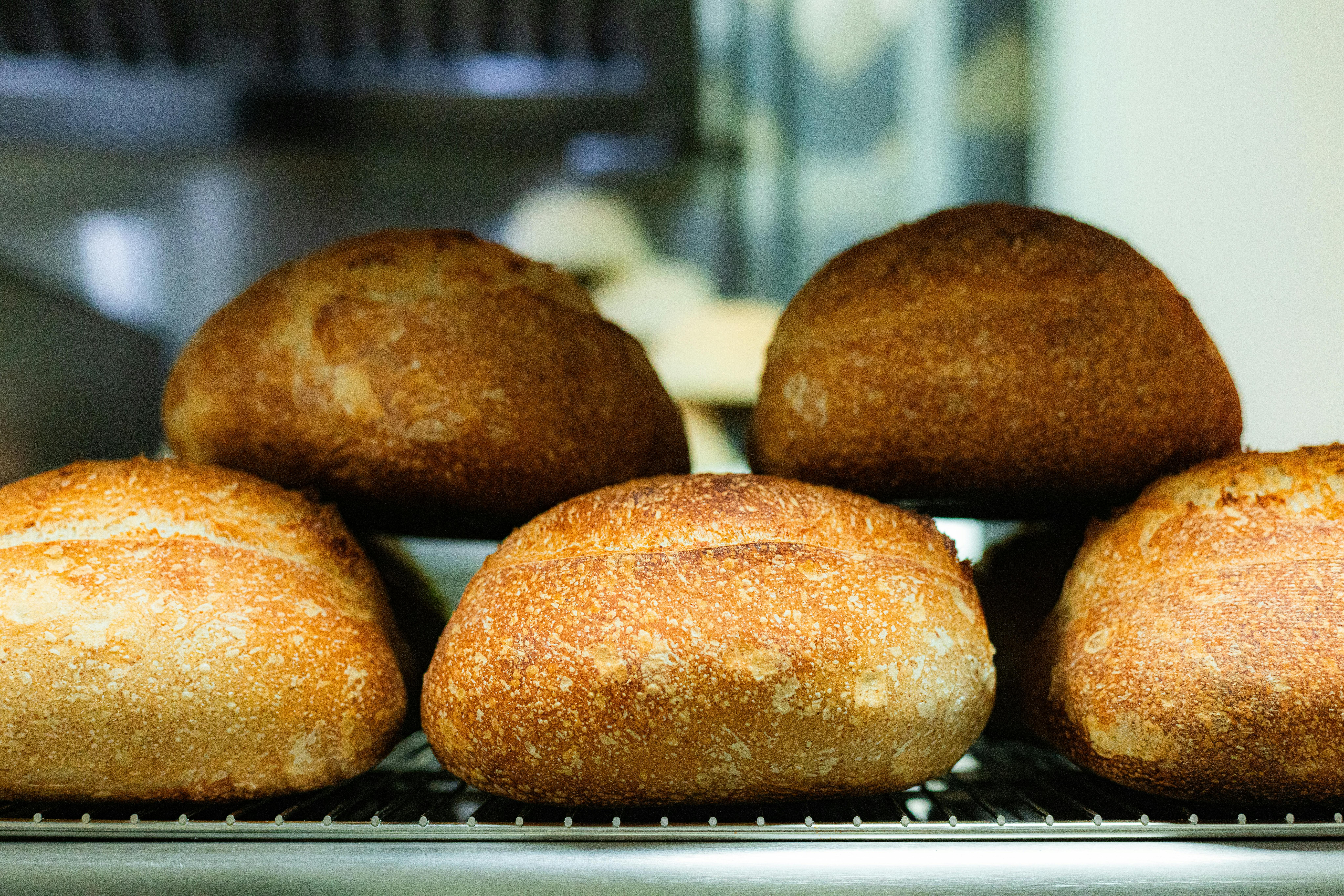Project Bread’s Community Power Fund Empowers Grassroots Leaders to Make Hunger History — Photo by Anthony Rahayel on Pexels