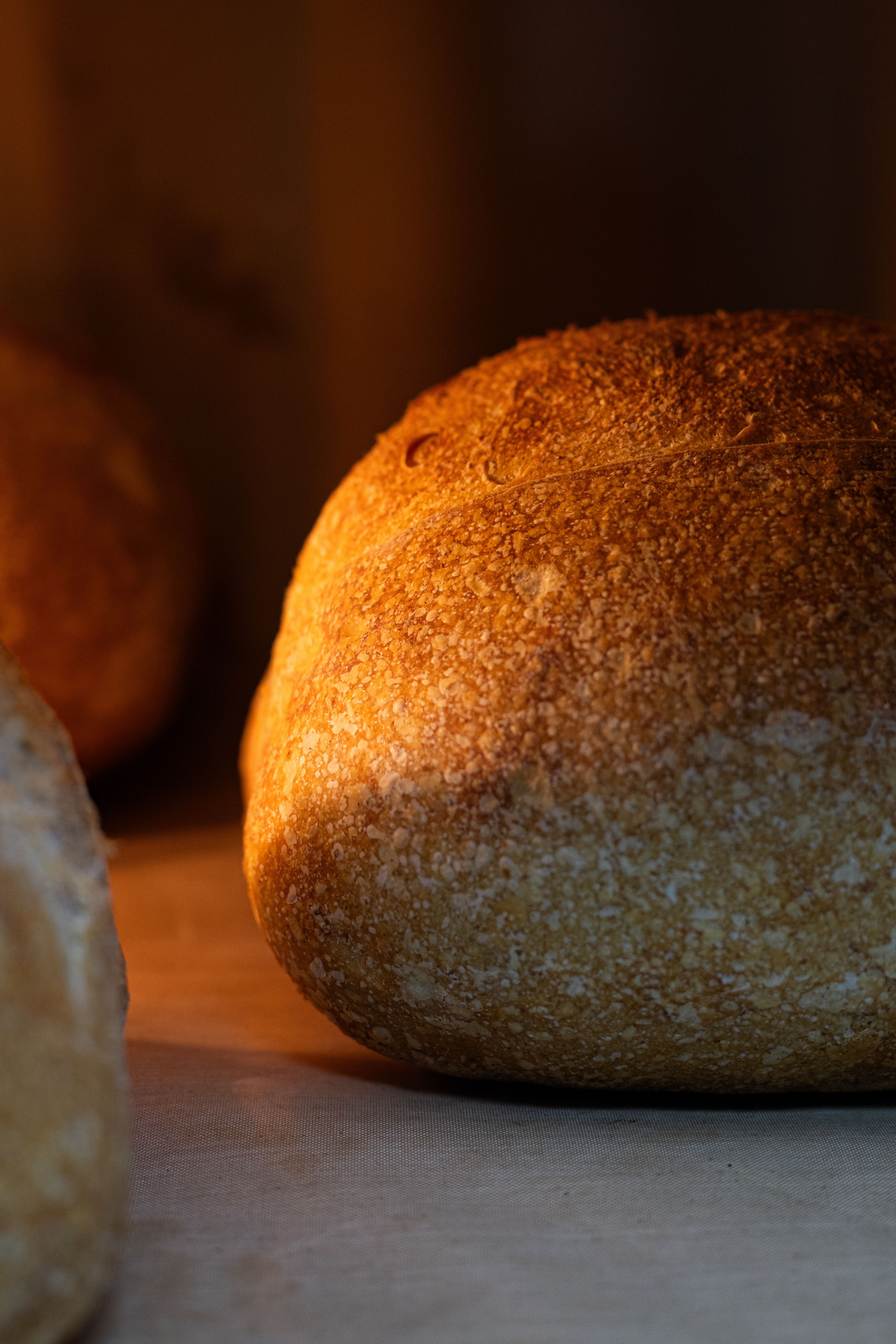 Freshly Baked Artisan Bread Close-Up Shot · Free Stock Photo