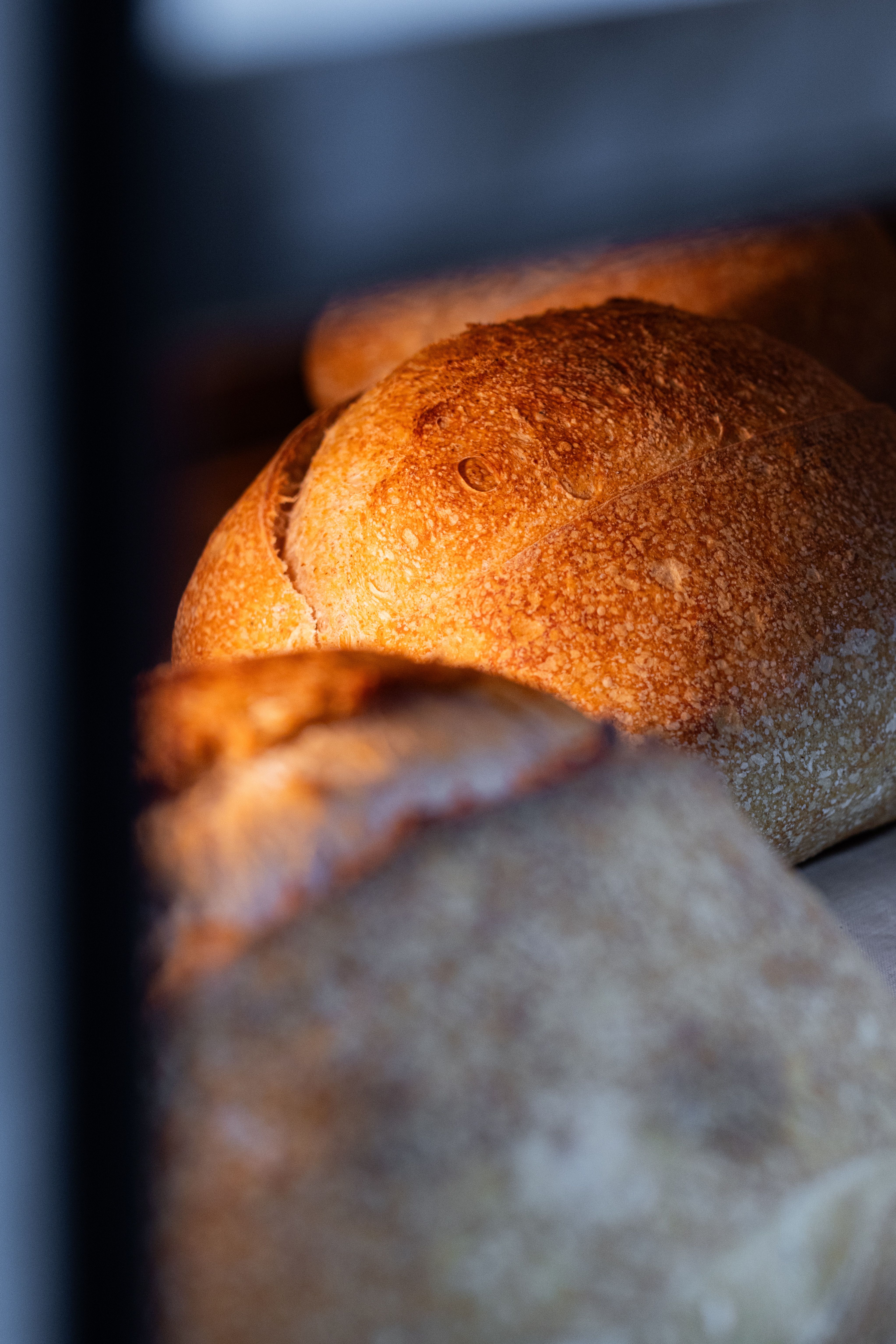 Crispy golden-brown artisan bread loaves fresh from the oven, capturing rustic texture.