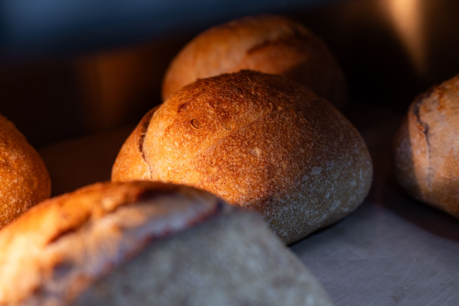 Fresh artisan bread loaves straight from the oven, highlighting crispy crusts.