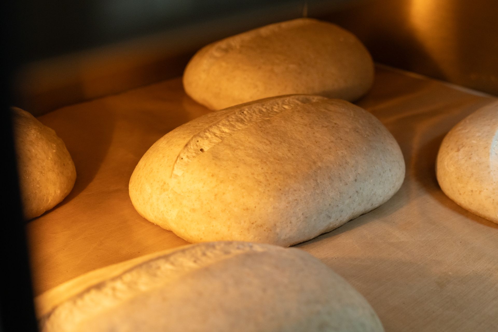 Close-up of rising bread dough in a warm oven, showcasing baking process.
