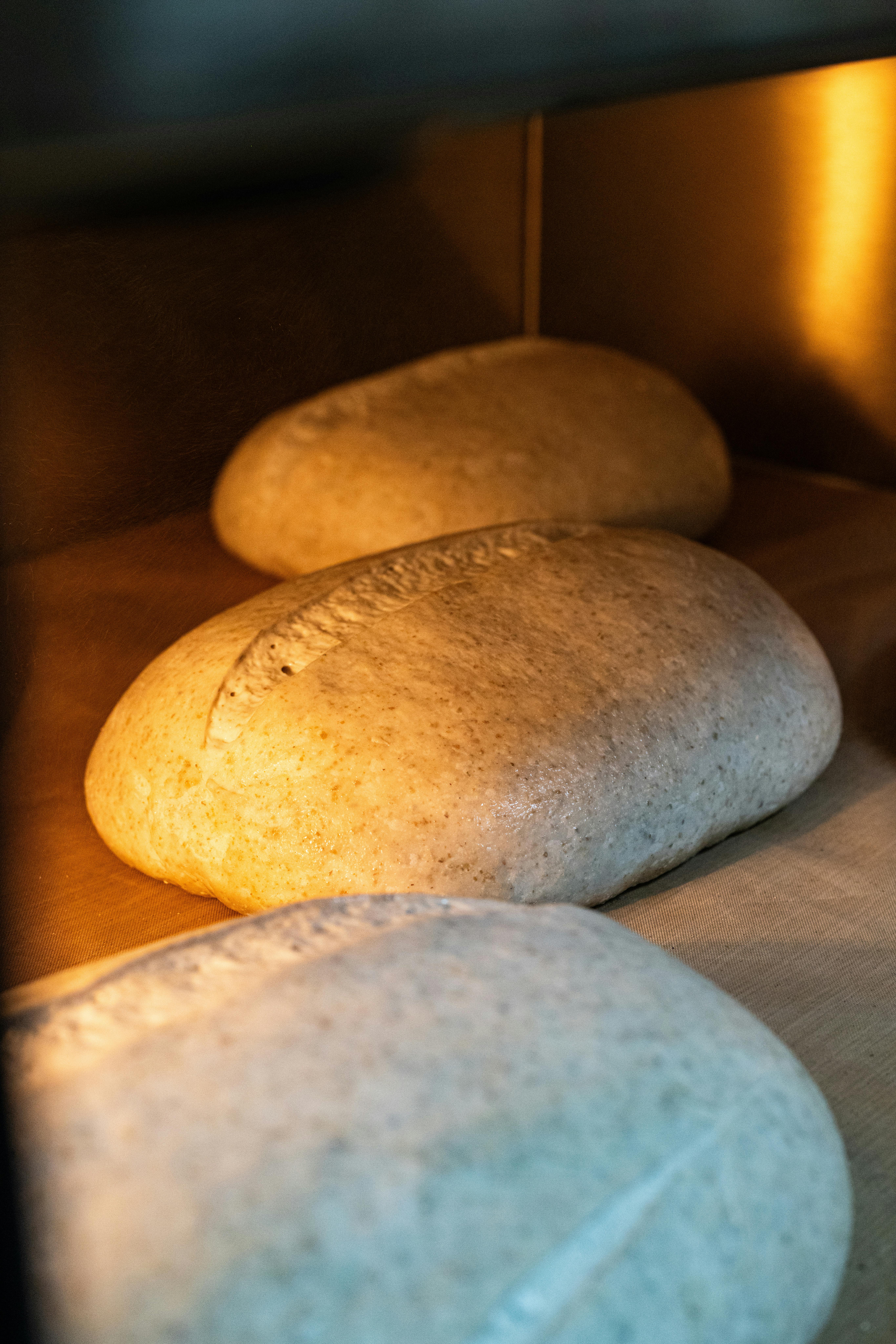 Loaves of sourdough bread baking in an industrial oven, warm tones.