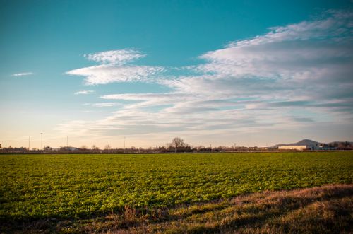 Free A wide expanse of green farmland under a clear blue sky with clouds. Stock Photo