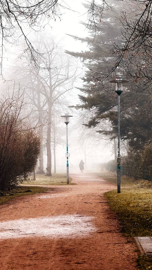 Free Serene winter park with a misty pathway and distant figures. Ideal for peaceful contemplative settings. Stock Photo