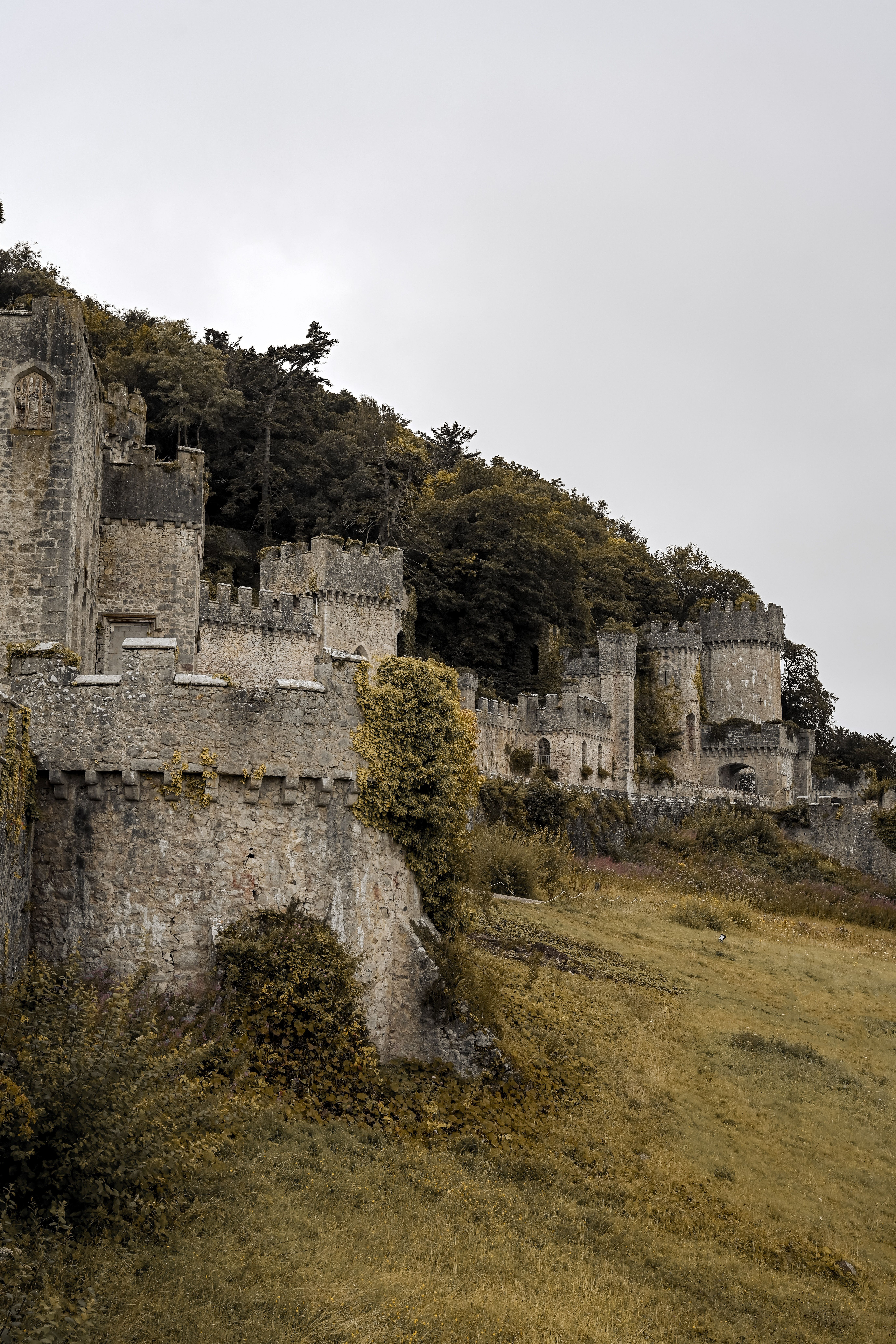 Medieval Castle Ruins Amidst Lush Greenery · Free Stock Photo