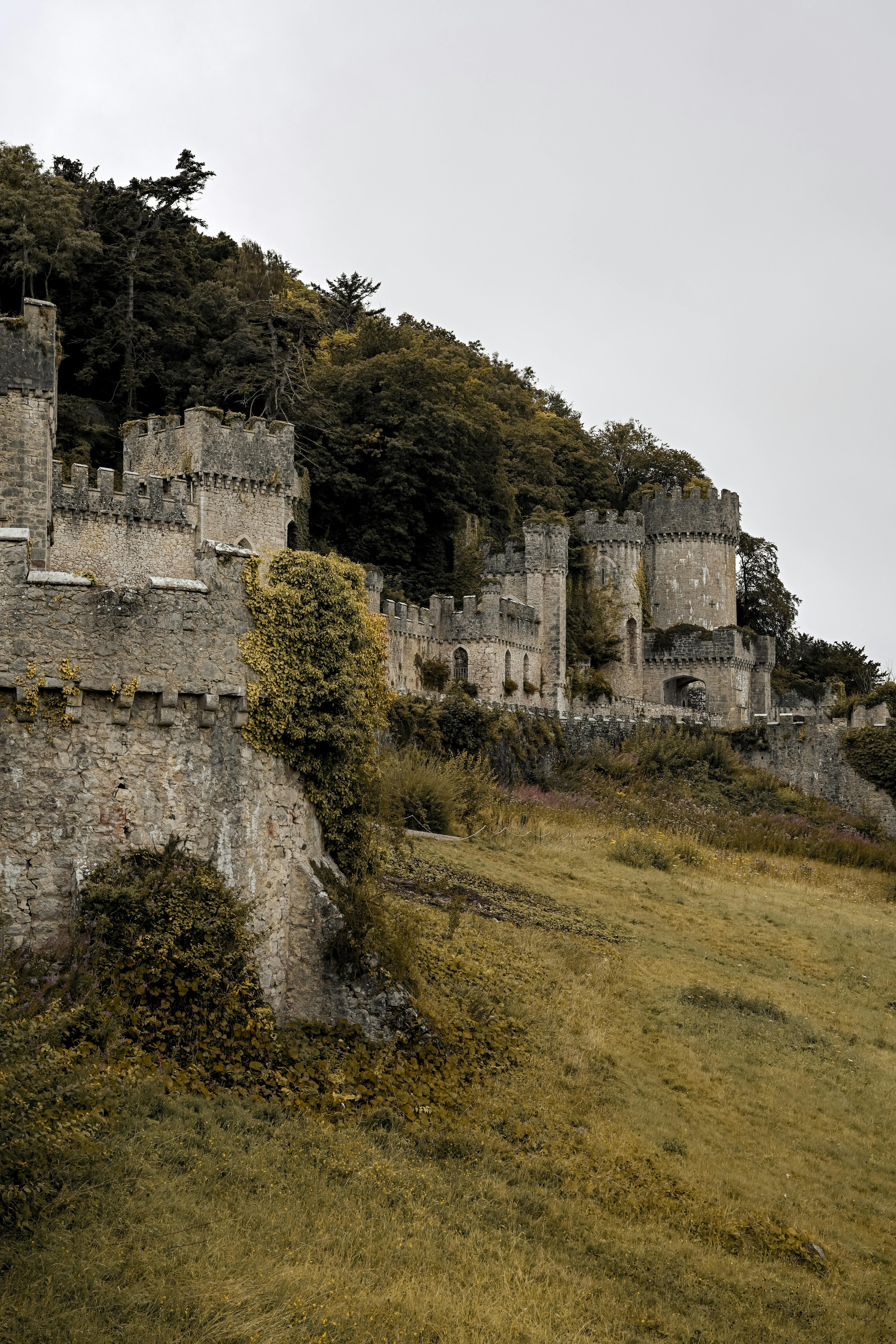 Frenchay Village Bristol: Discover Hidden Gems and Local Secrets 2 Exploring the Enchanting History of Frenchay Village: 5 Secrets of the Past