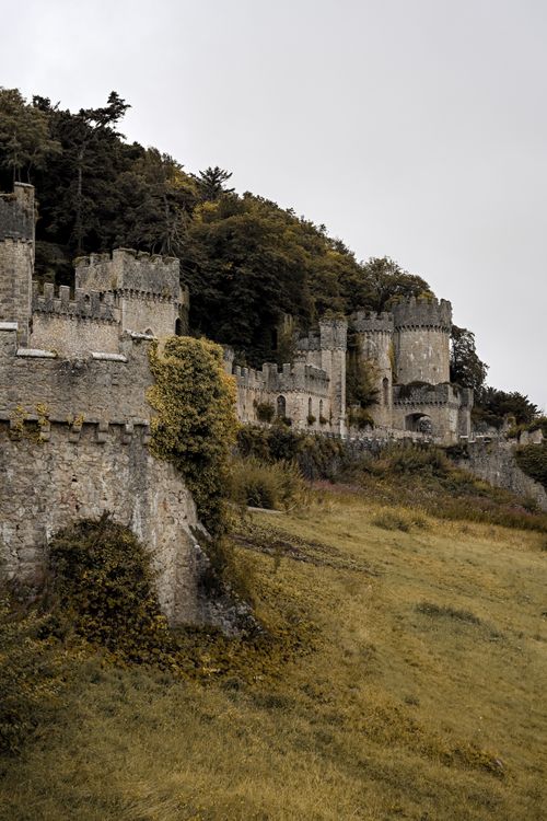Free Enchanting ruins of an ancient castle draped in greenery, embodying historic charm. Stock Photo