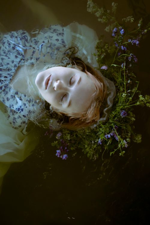 Free Artistic image of a woman floating among wildflowers in water, evoking tranquility. Stock Photo
