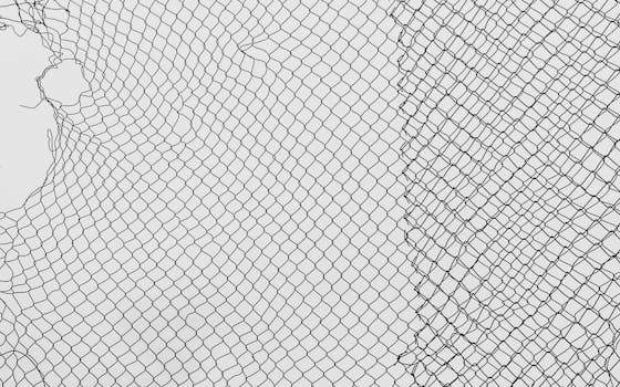 A close-up view of a torn, black safety net with intricate patterning against a white background.