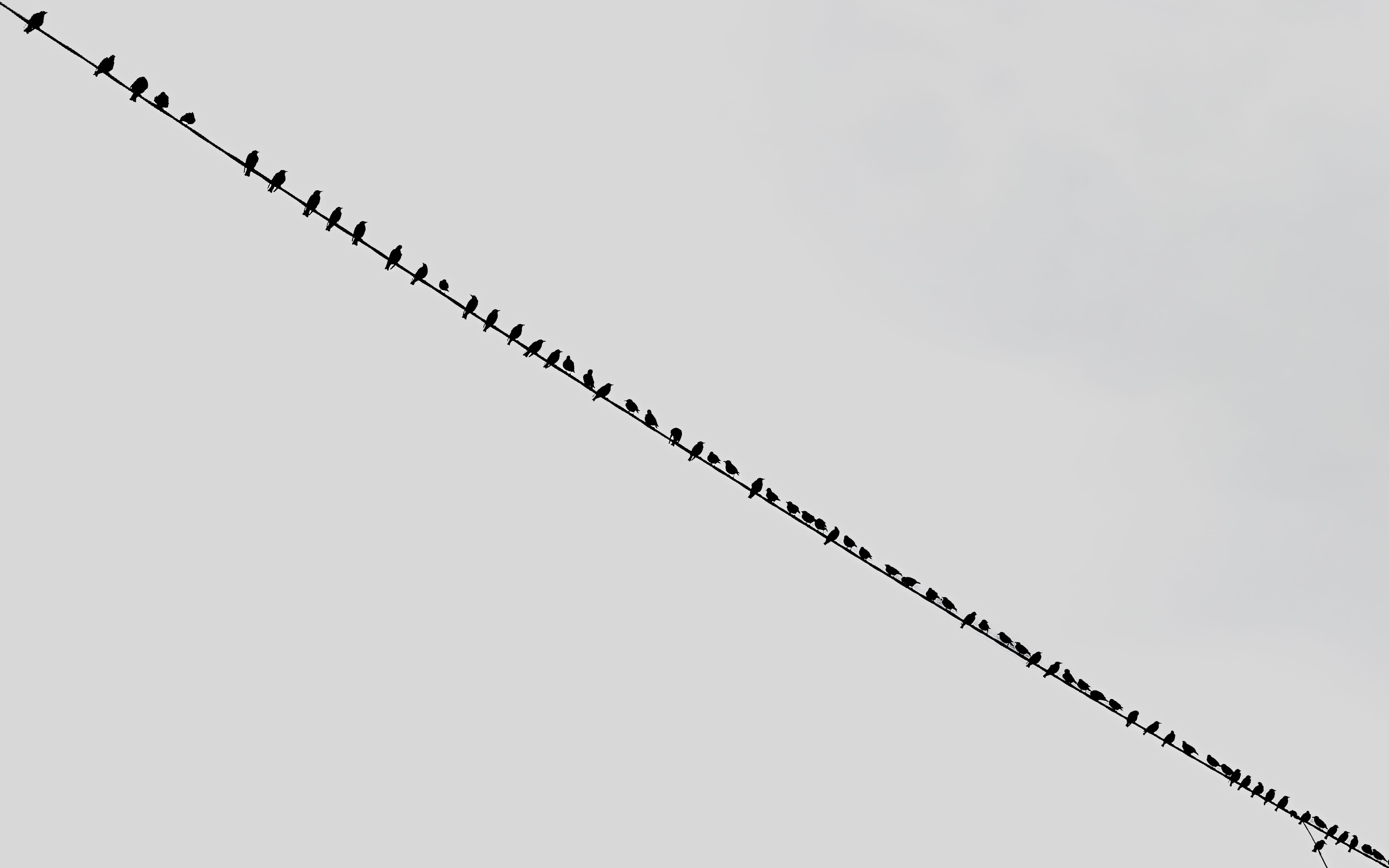Png Separater Line Photos, Download The BEST Free Png Separater Line ...