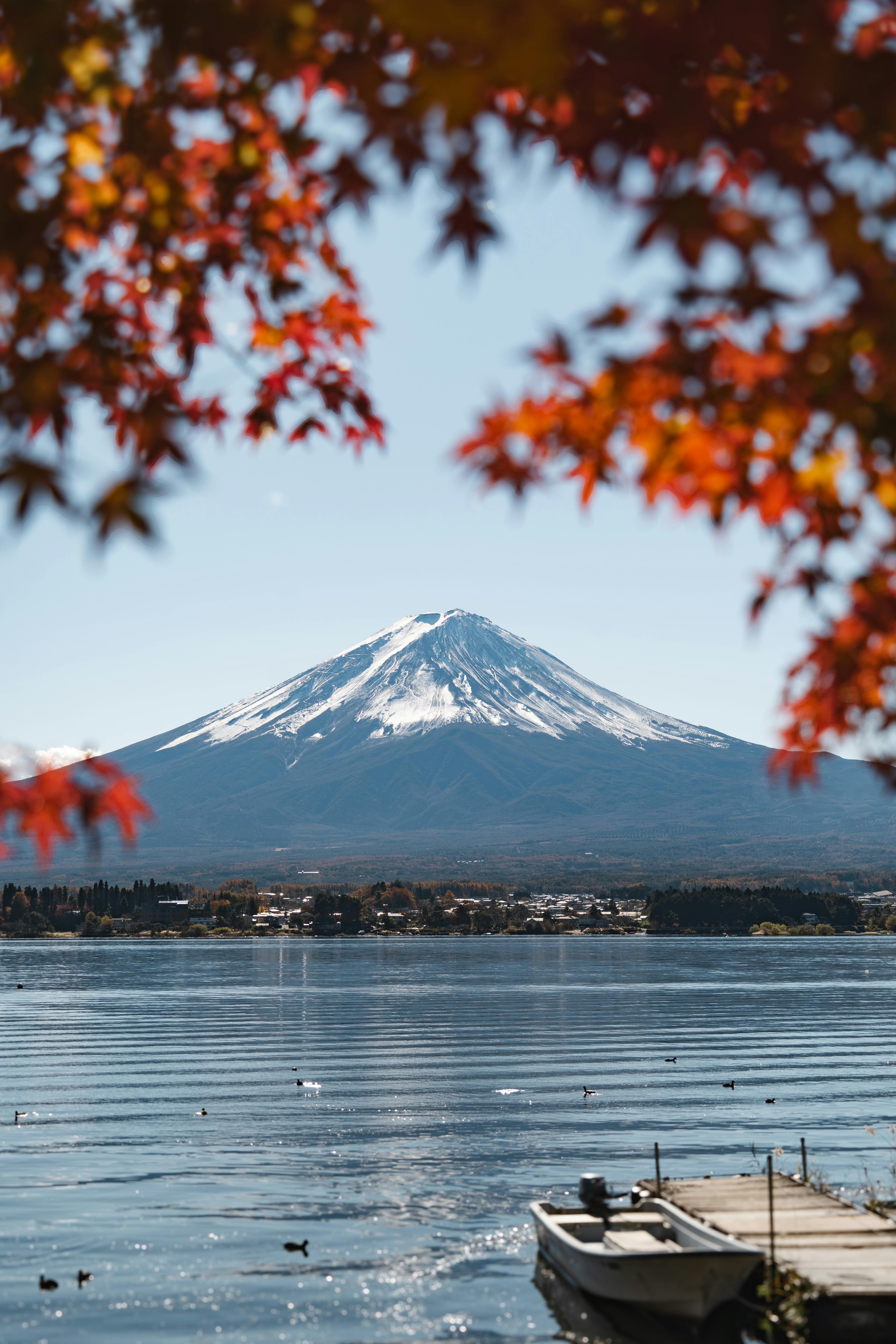 Mount Fuji's snow-capped peak framed by vibrant autumn leaves, reflecting in a serene lake.