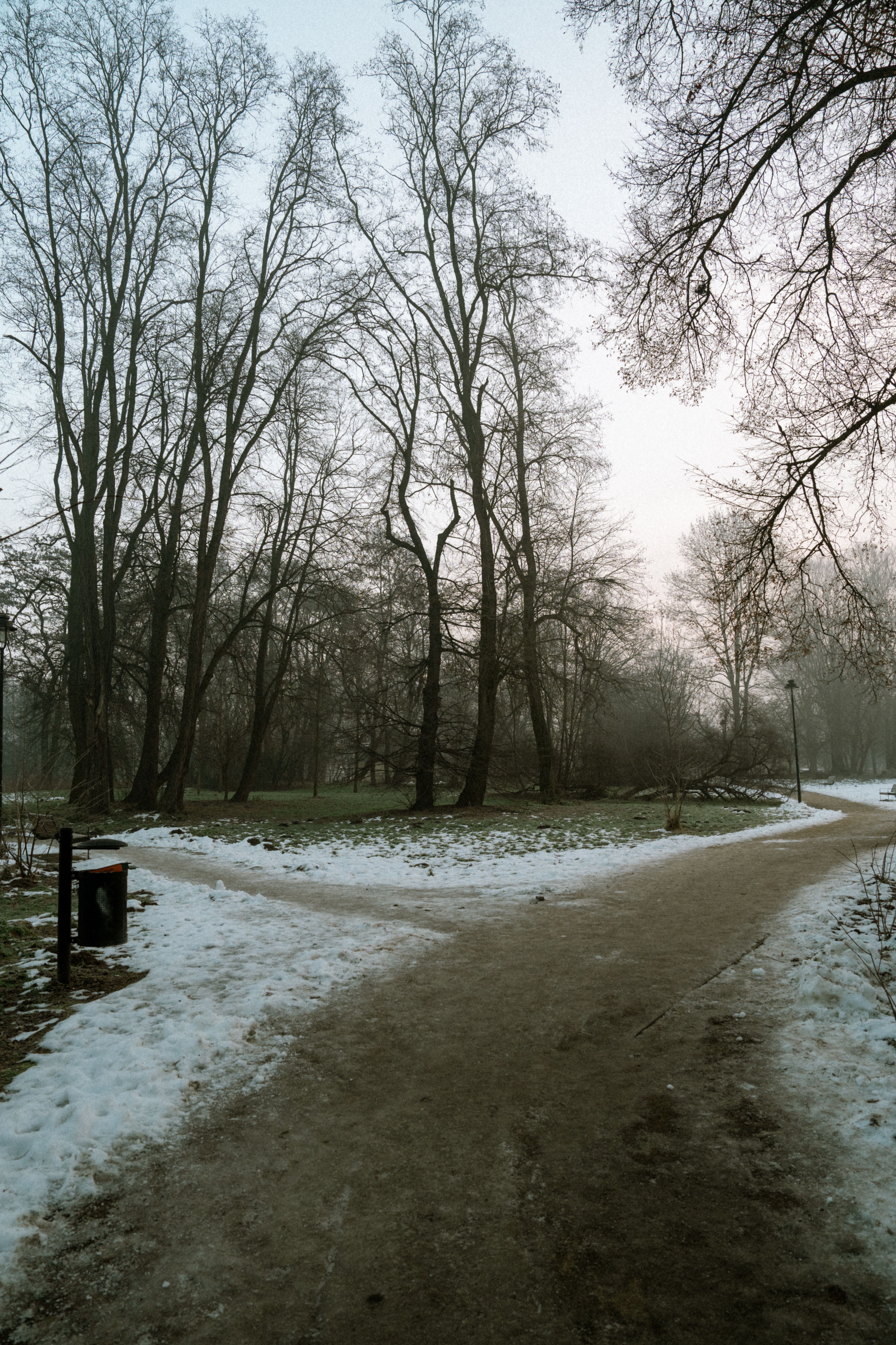 Misty Winter Park Path Scene with Bare Trees · Free Stock Photo