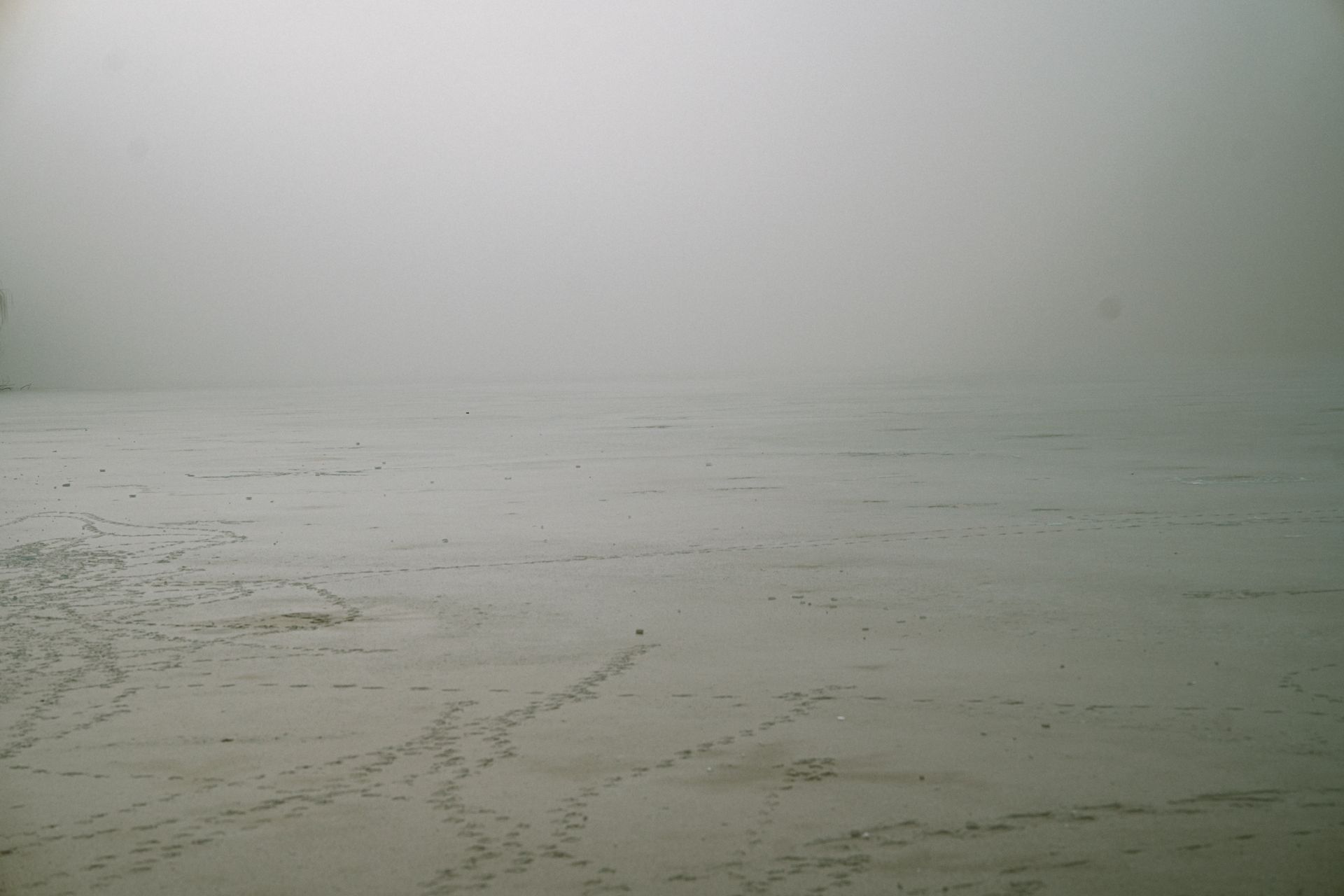 Serene foggy beach with minimal footprints on wet sand, reflecting peaceful solitude.