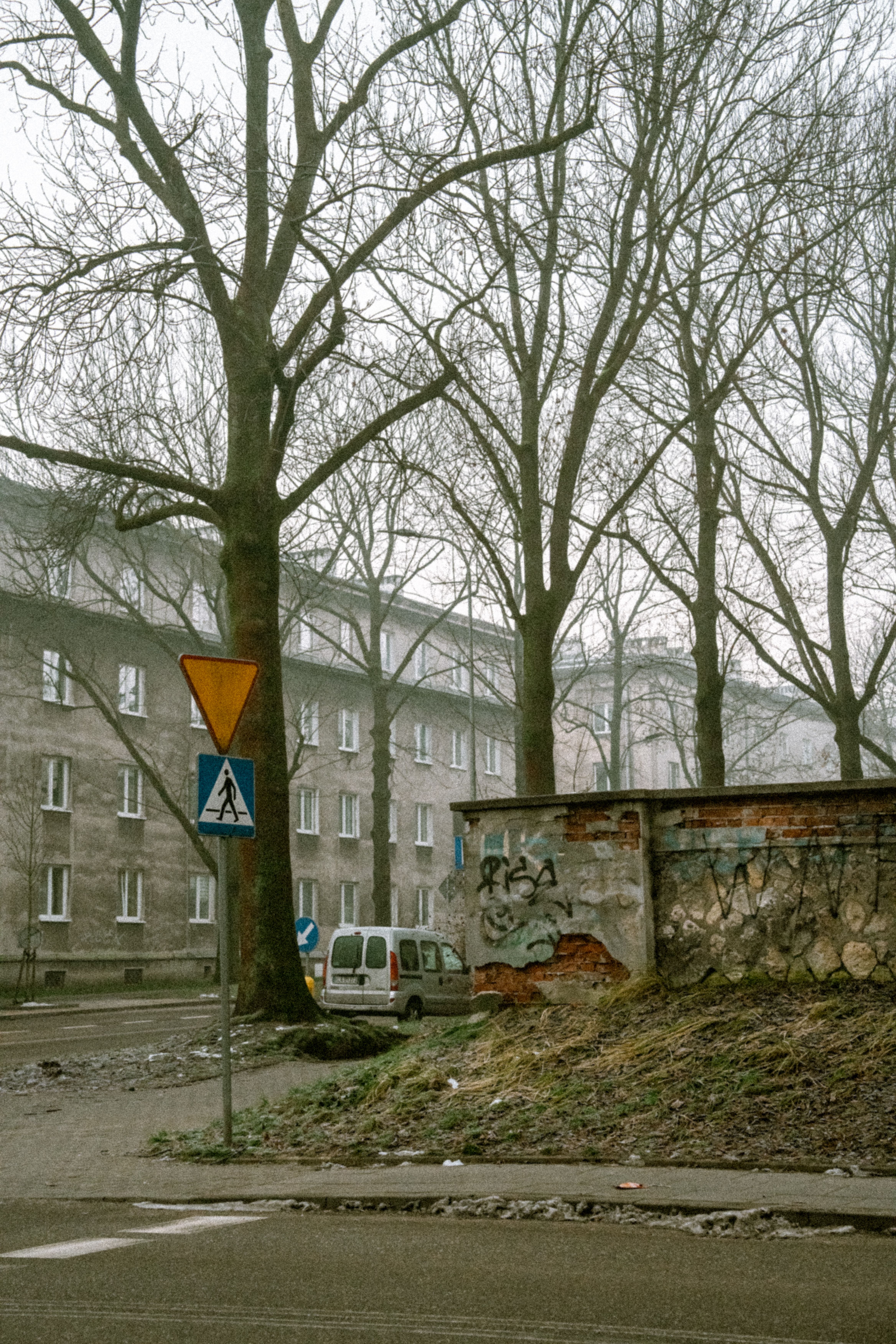 Urban Street Scene with Winter Trees and Grafitti · Free Stock Photo