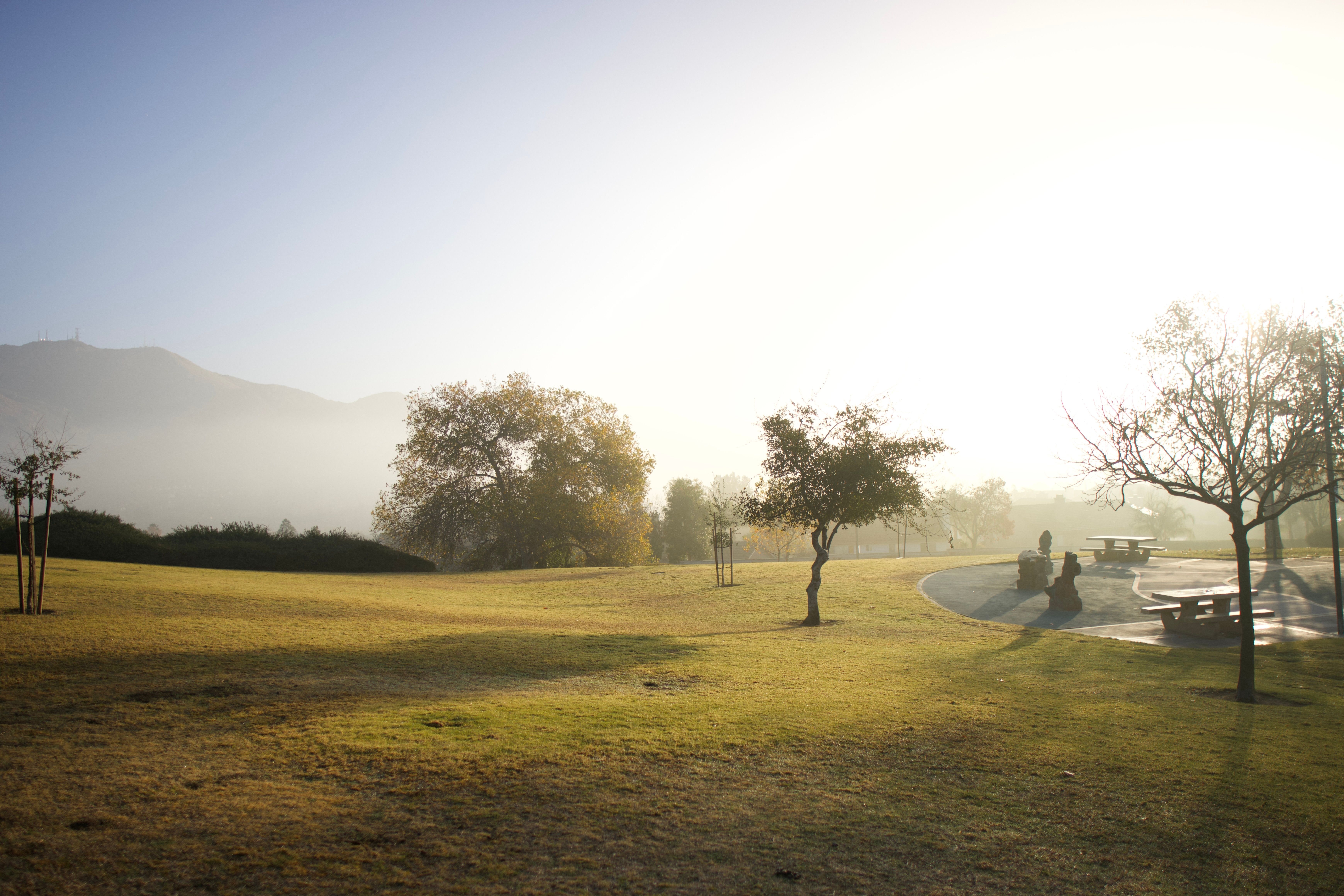 Serene Morning in a Sunlit Park Landscape · Free Stock Photo