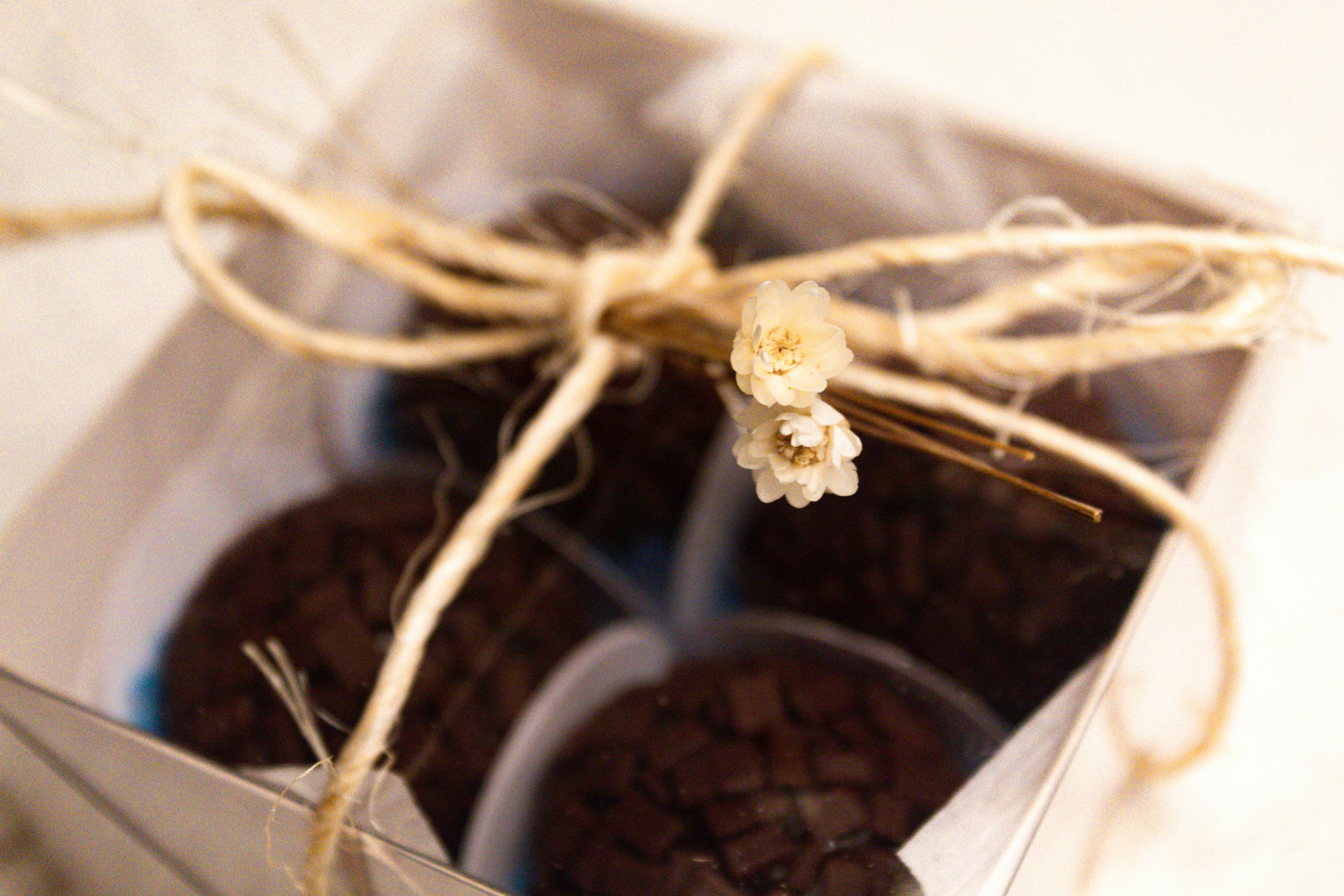 首屆台北國際烘焙伴手禮大賽名次揭曉！必買伴手禮展出