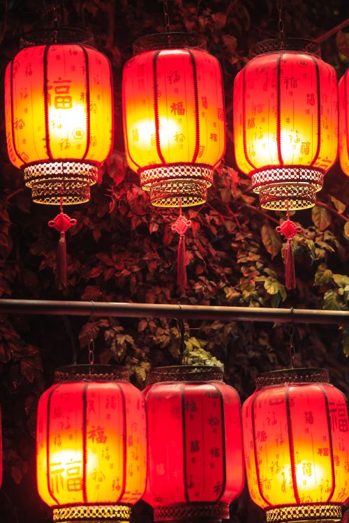 Free Glowing red Chinese lanterns illuminate a tree at night, creating a festive atmosphere. Stock Photo