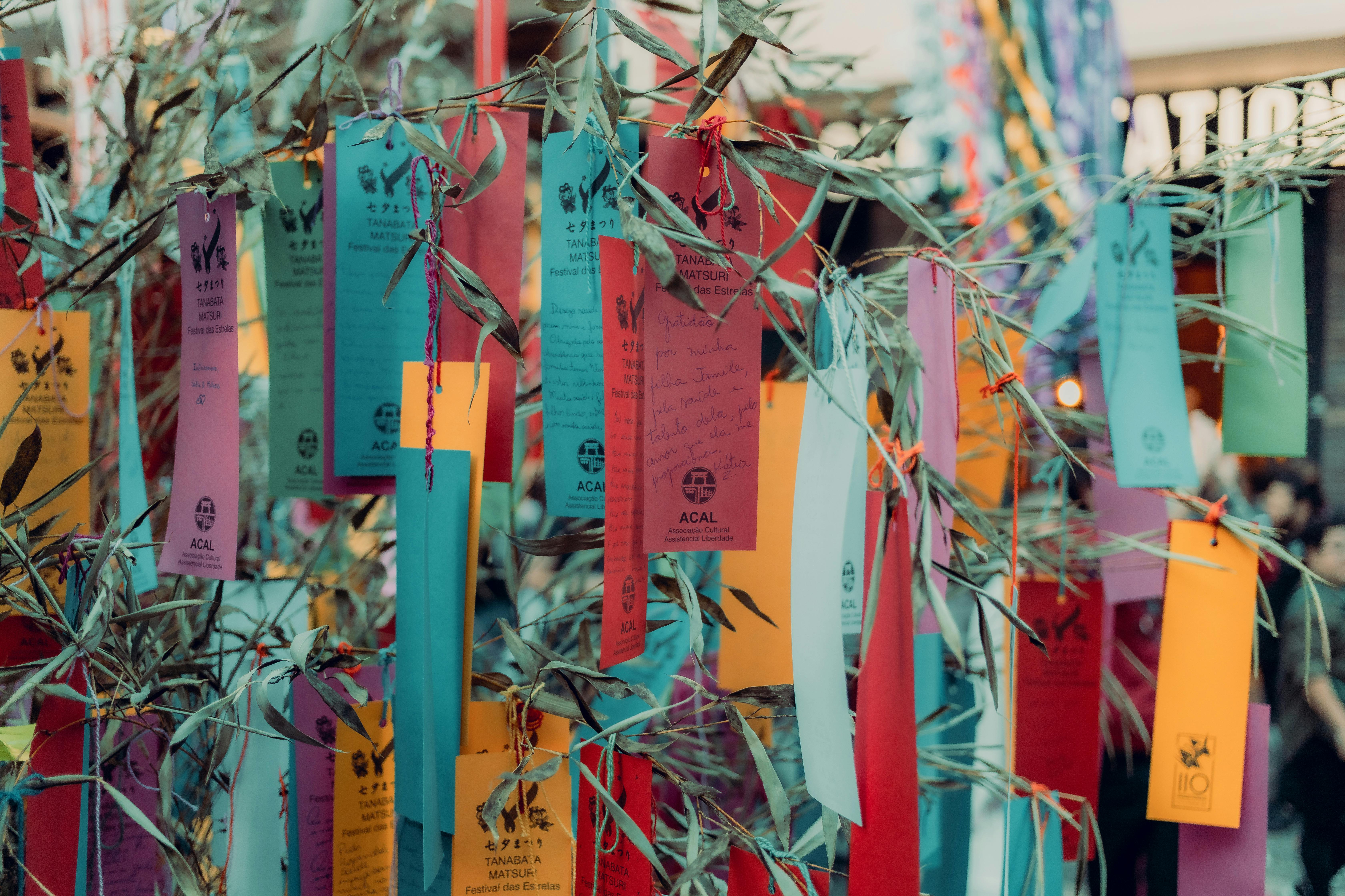 Wish Journey – Persoonlijk wenstraject