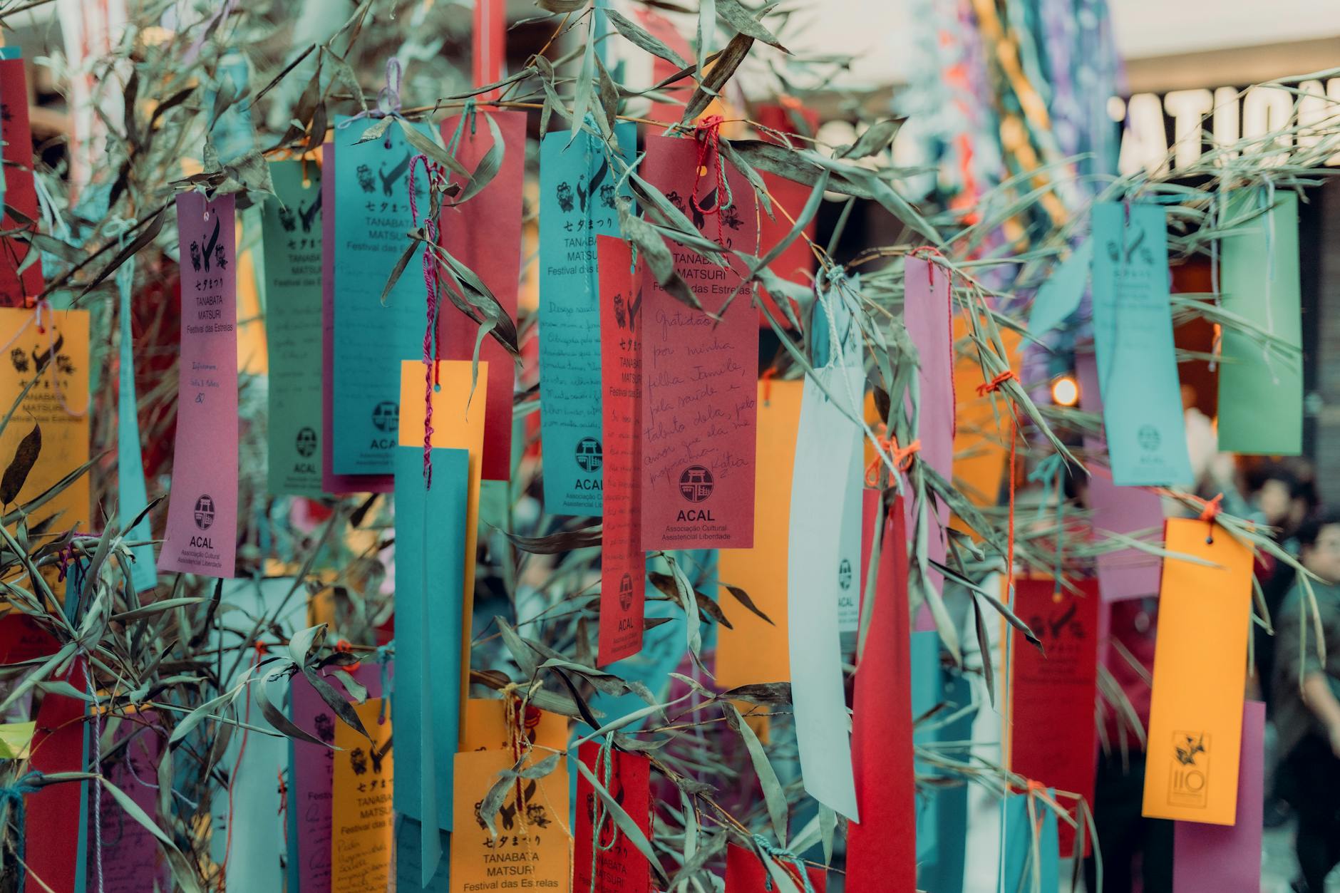 Wish Journey – Persoonlijk wenstraject