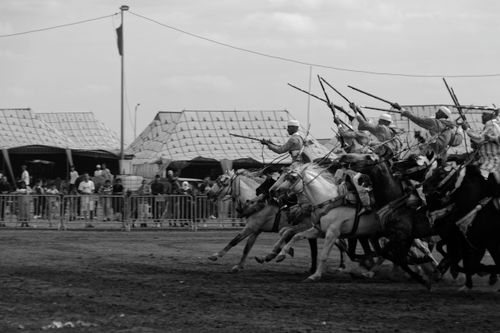Free fantaisie- tbourida-   Stock Photo