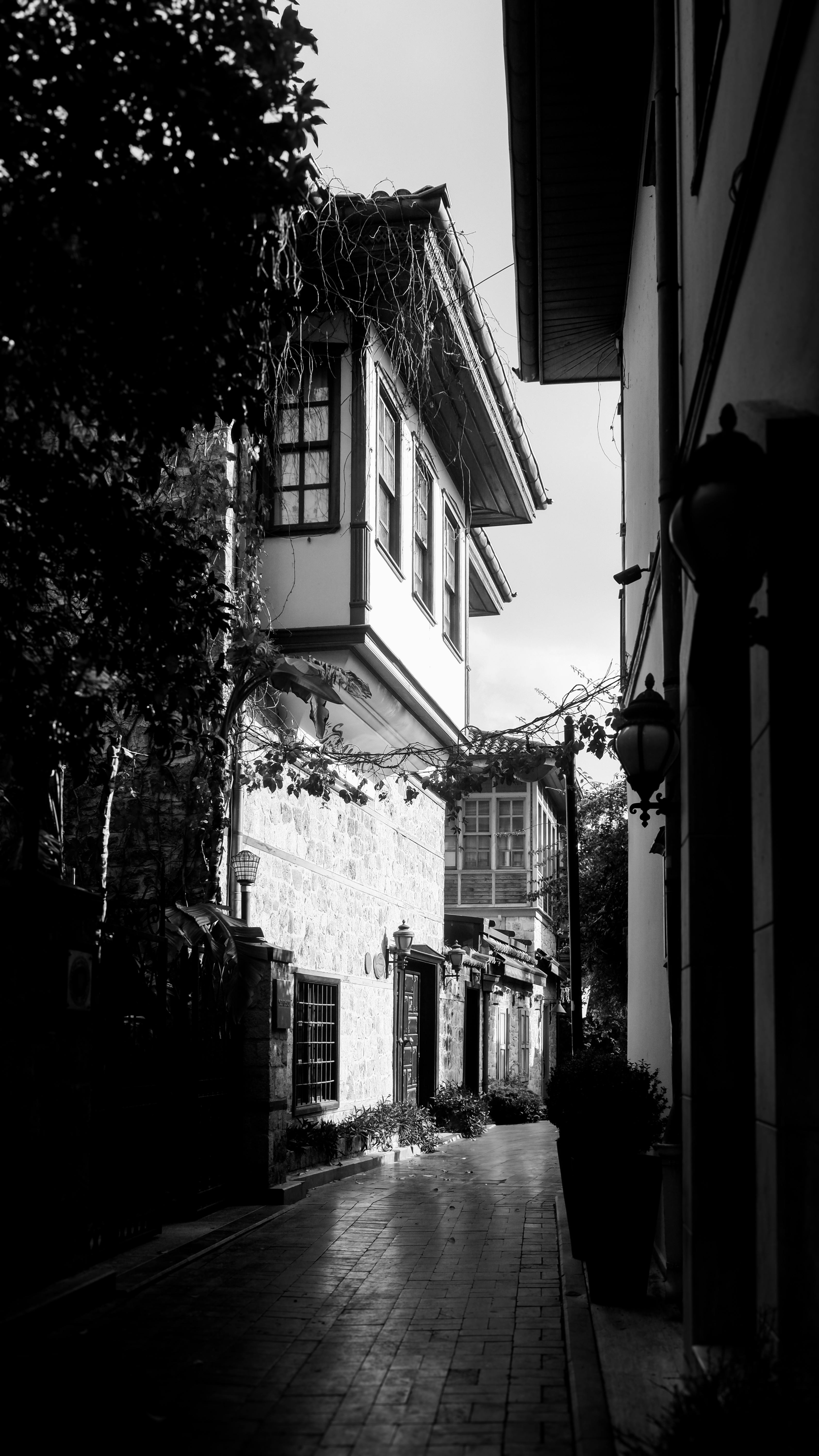 Gratuit Fotografie alb-negru a unei alei înguste cu arhitectură istorică și balcoane în deasupra. Fotografie de stoc